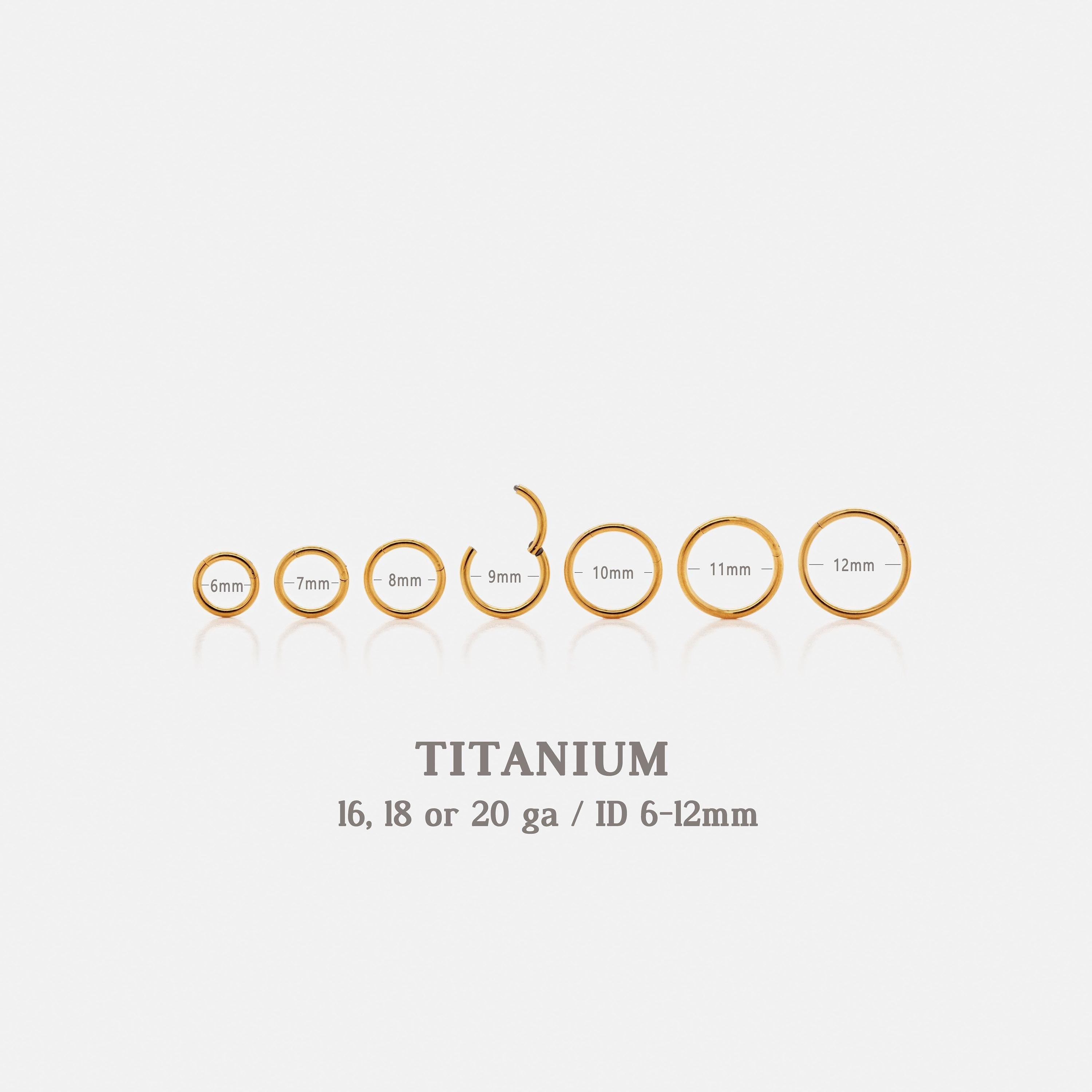 G23 Titanium Wasserdichte Runde Ohrringe oder Nasenring